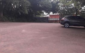 Woodpecker On Marine